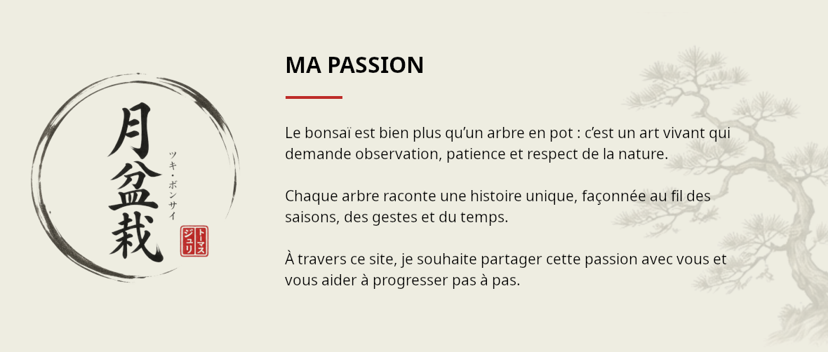 Tsuki Bonsaï — Ma passion
